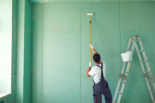 Mold Remediation for Rental Properties in Delano, MN