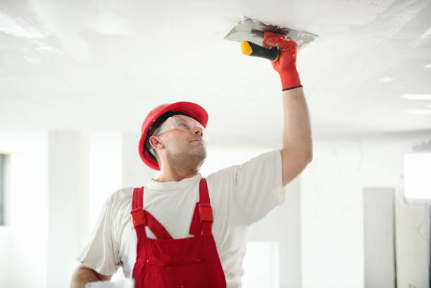Best Biohazard Mold Removal  in Delano, MN