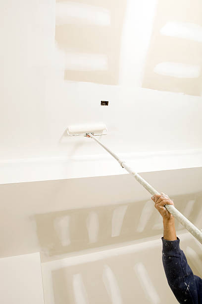 Trusted Delano, MN Mold Removal Experts