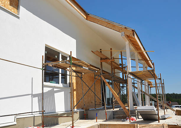 Best Comprehensive Air Testing for Mold Contaminants  in Delano, MN