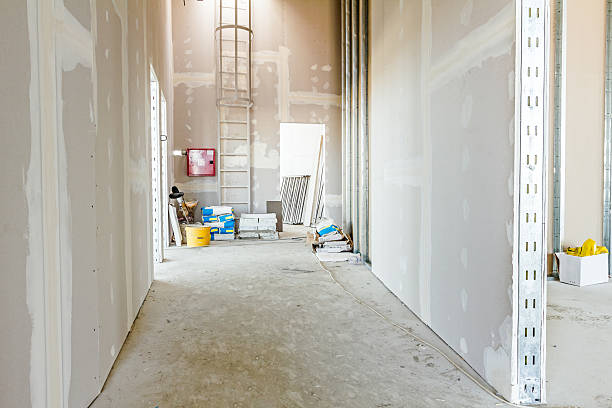Best Mold Odor Removal Services  in Delano, MN