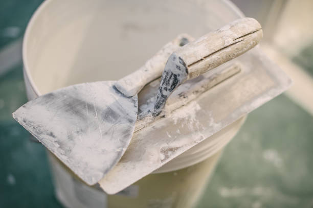 Best Asbestos and Lead Testing During Mold Inspection  in Delano, MN